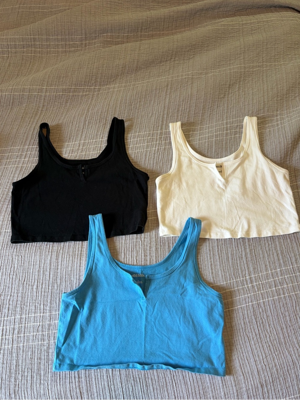 3 Wild Fable Cropped Tank Tops